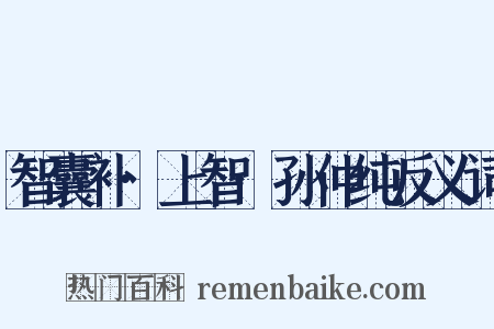 智囊补·上智·孙仲纯反义词是什么意思的图片